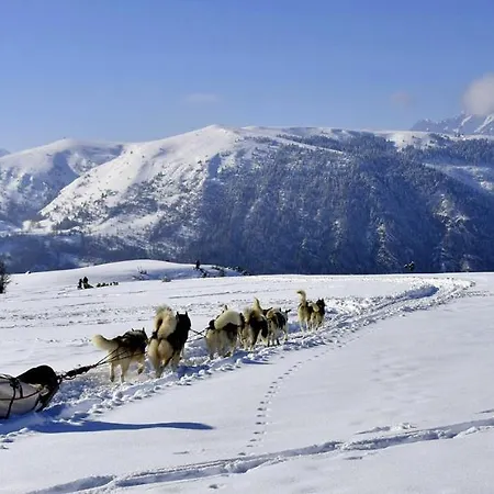 Au Pied Des Pistes Et Des Sentiers Apartamento *